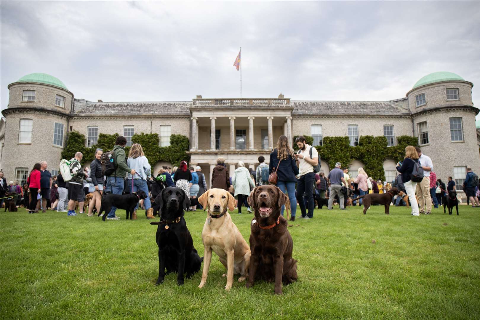 The Labrador Parade at Goodwoof 2024 (Ben Whitley Media Assignments/PA)