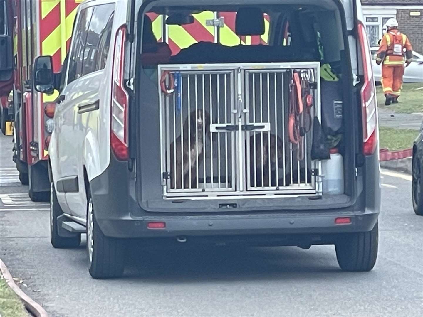 Police sniffer dogs brought in to help with the search
