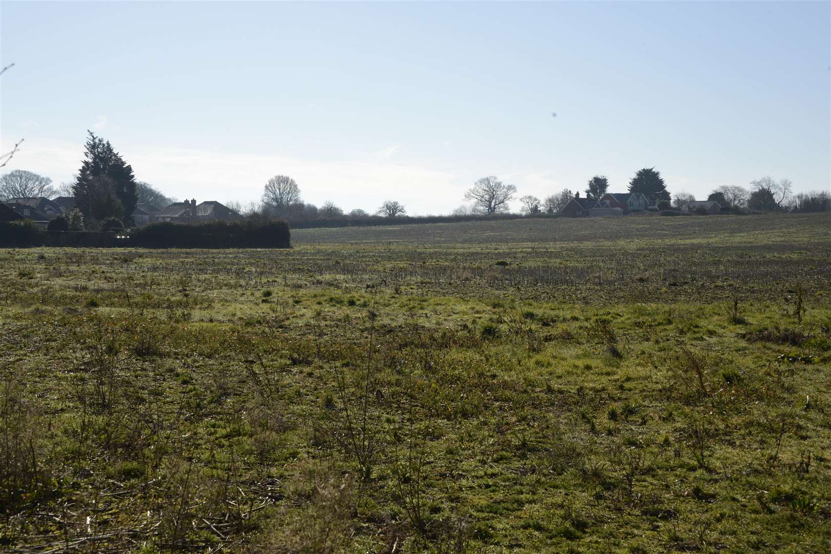 The proposed site off Pound Lane. Picture: Paul Amos