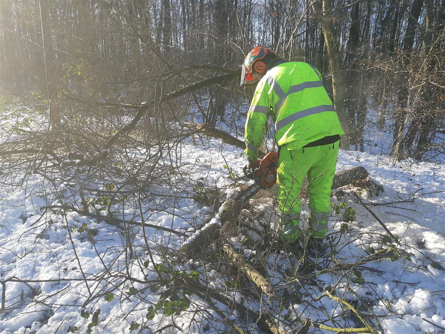 Tree surgeon cuts branches on Walderslade Woods Road (6931306)