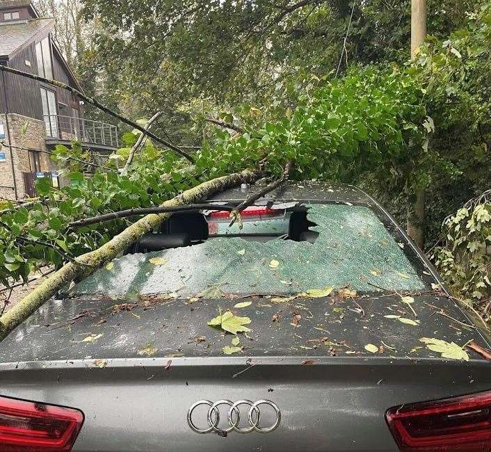 A tree has fallen on a car in Harold Street, Dover. Picture: Gry Kampestuen