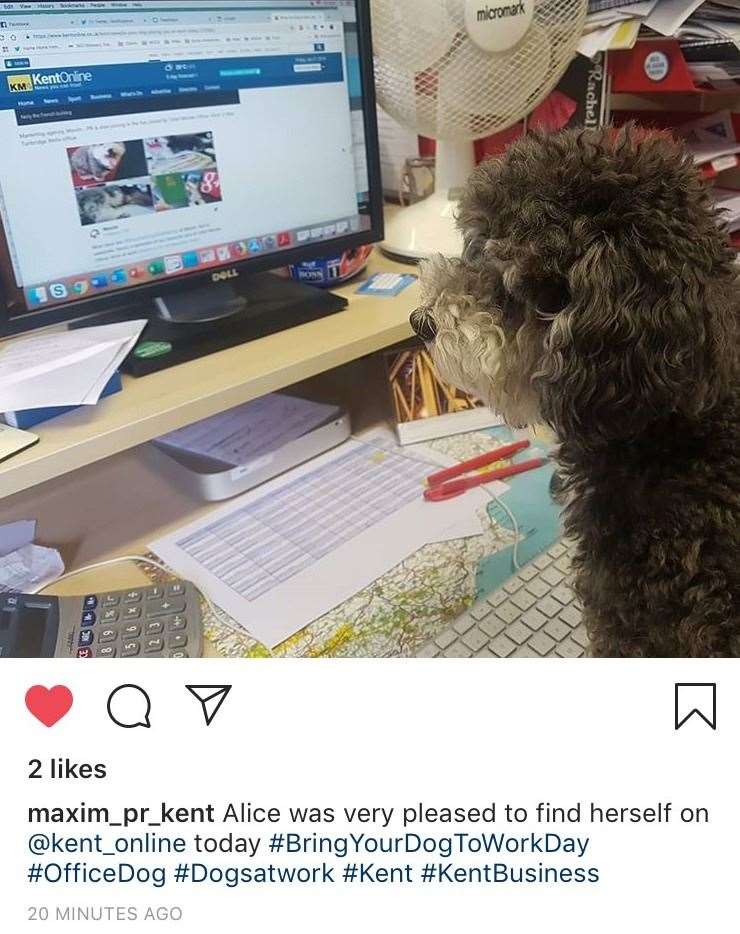Alice checking out the latest on KentOnline