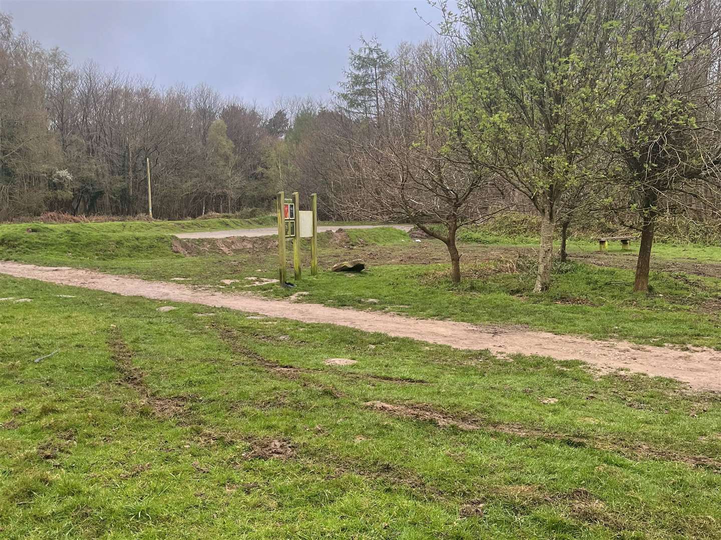 Dog walkers have told of their upset after part of King's Wood in Challock was torn to shreds by "joyriders". Picture: Philippa Read
