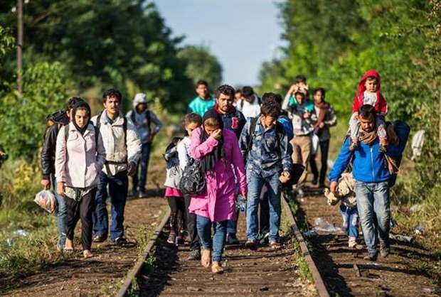Syrian refugees cross the border from Hungary to Serbia (2667184)