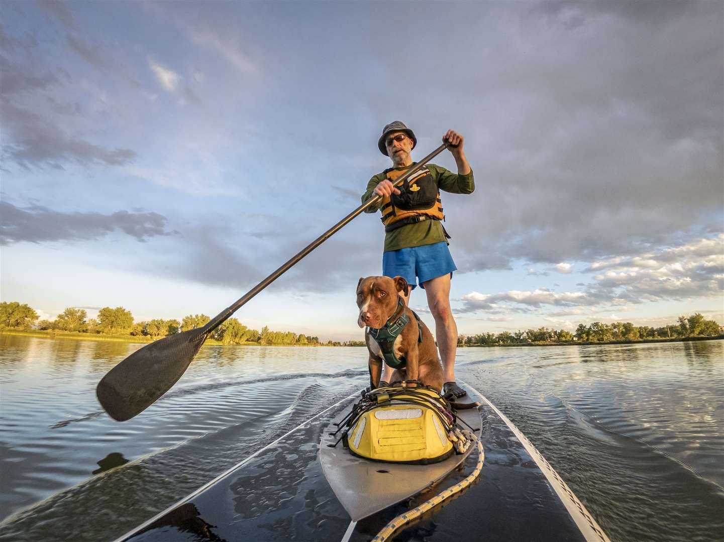 Did you know you can go paddle boarding with your dog?