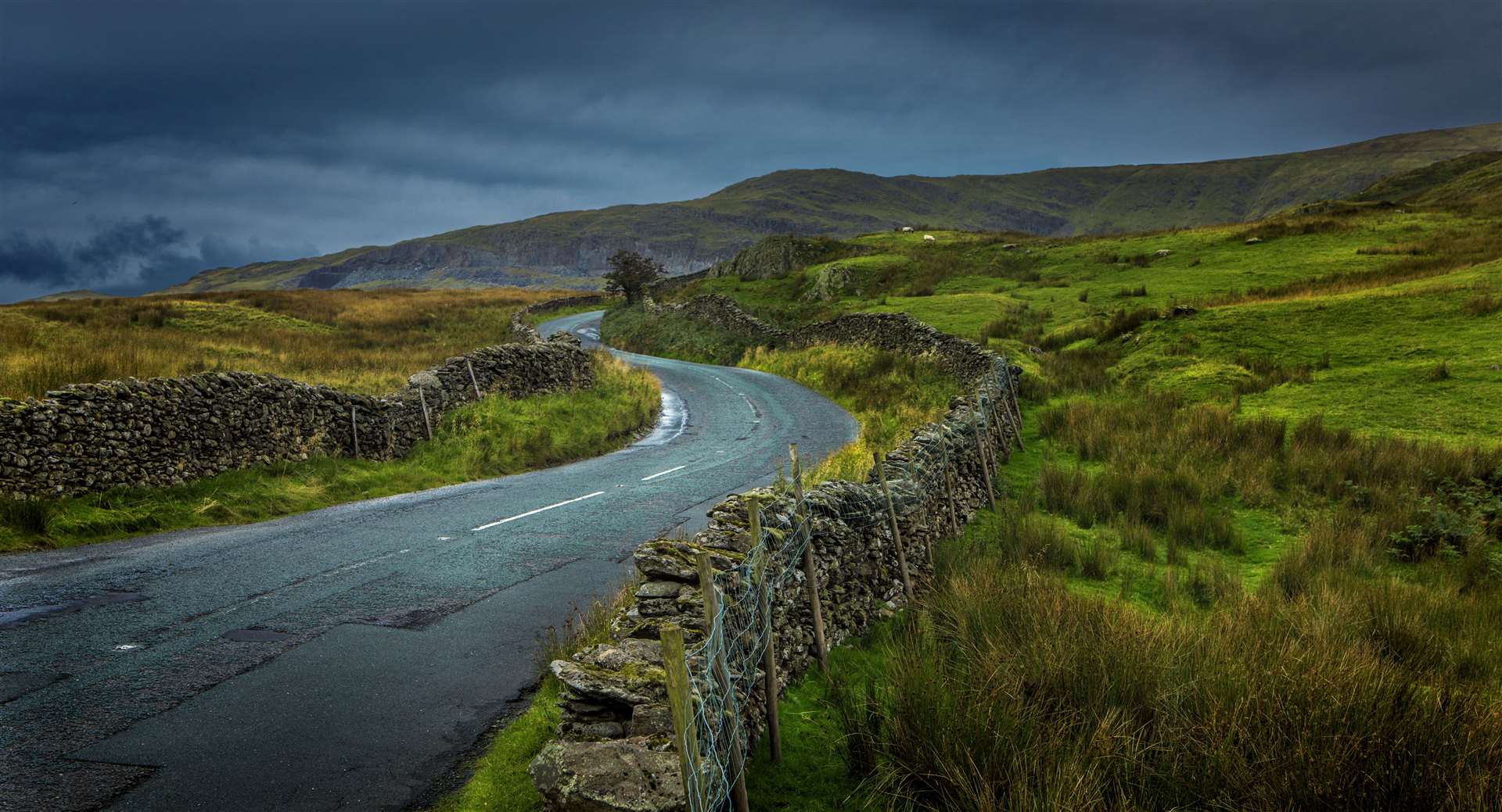 The Yorkshire Moors. Image from iStock and Lorado