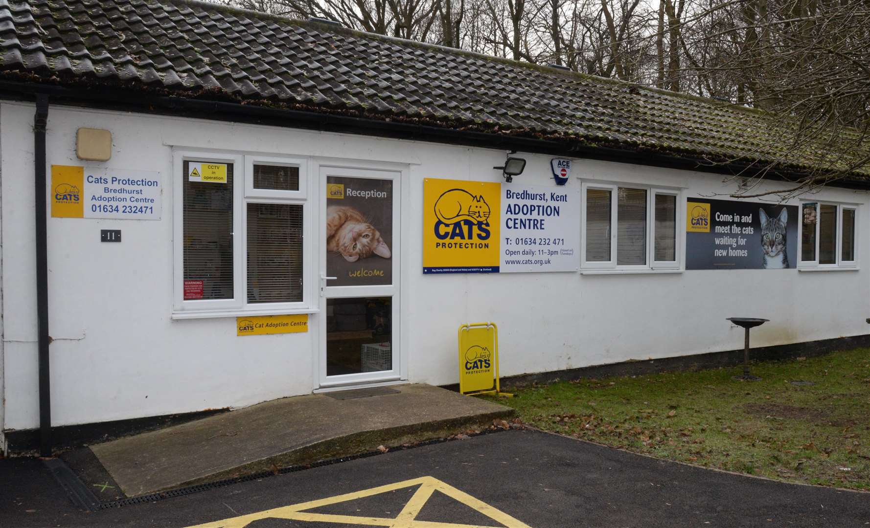 The Cats Protection Bredhurst Adoption Centre