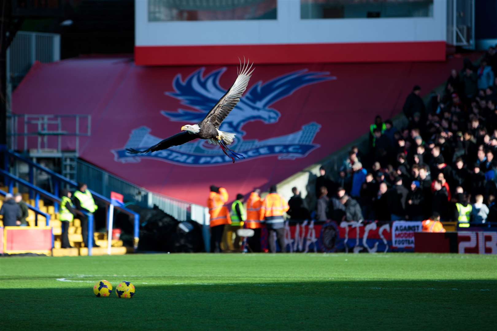 Crystal Palace mascot Kayla the eagle has died after suffering a heart attack. Picture: Jonathon Rogers