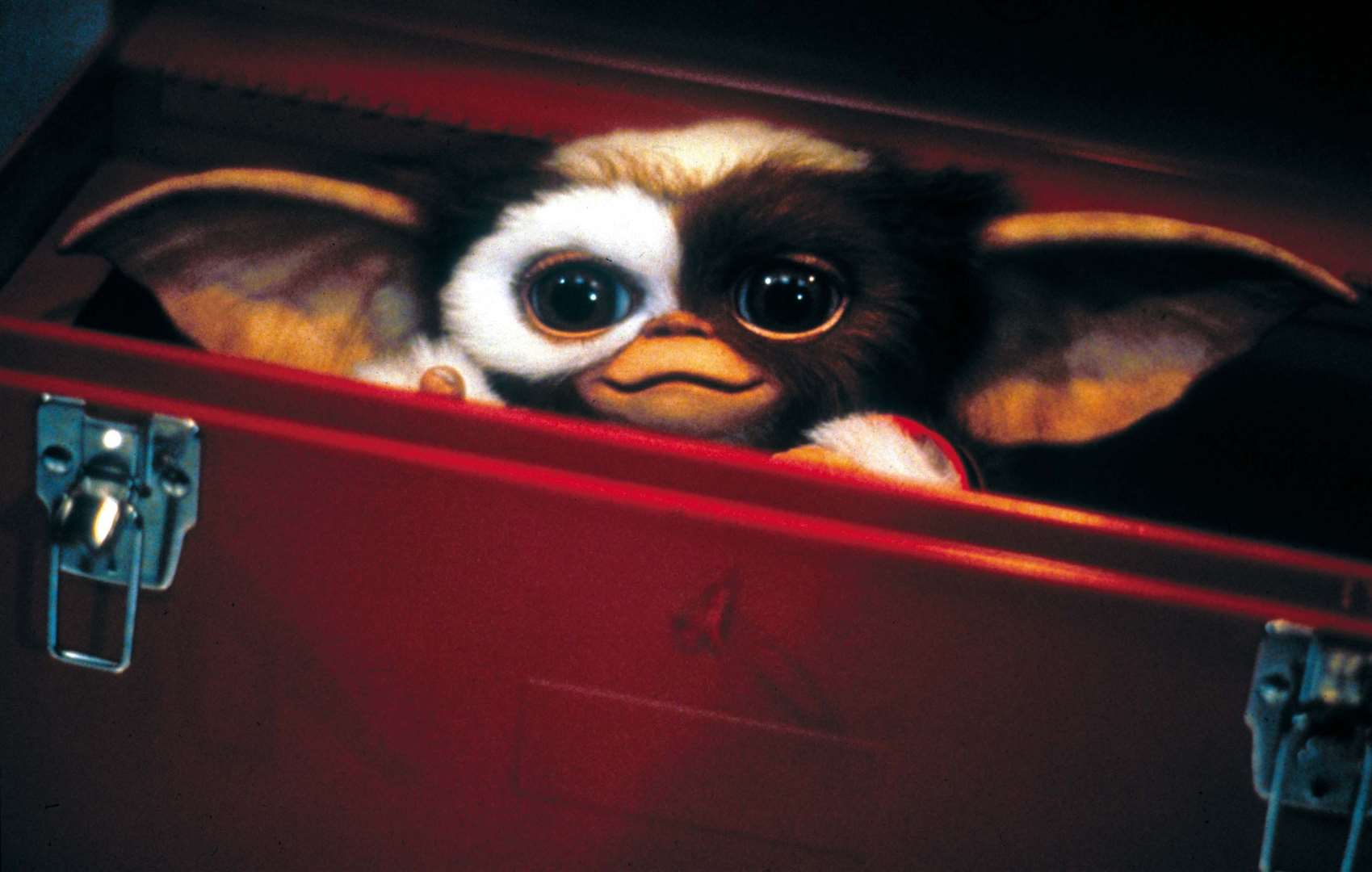 Gremlins is here for the run-up to Christmas
