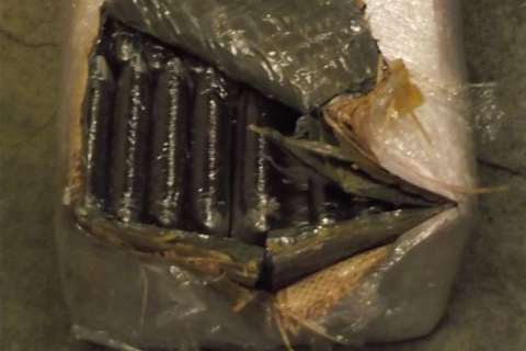 Cannabis resin seized by Border Force officers at the Channel Tunnel