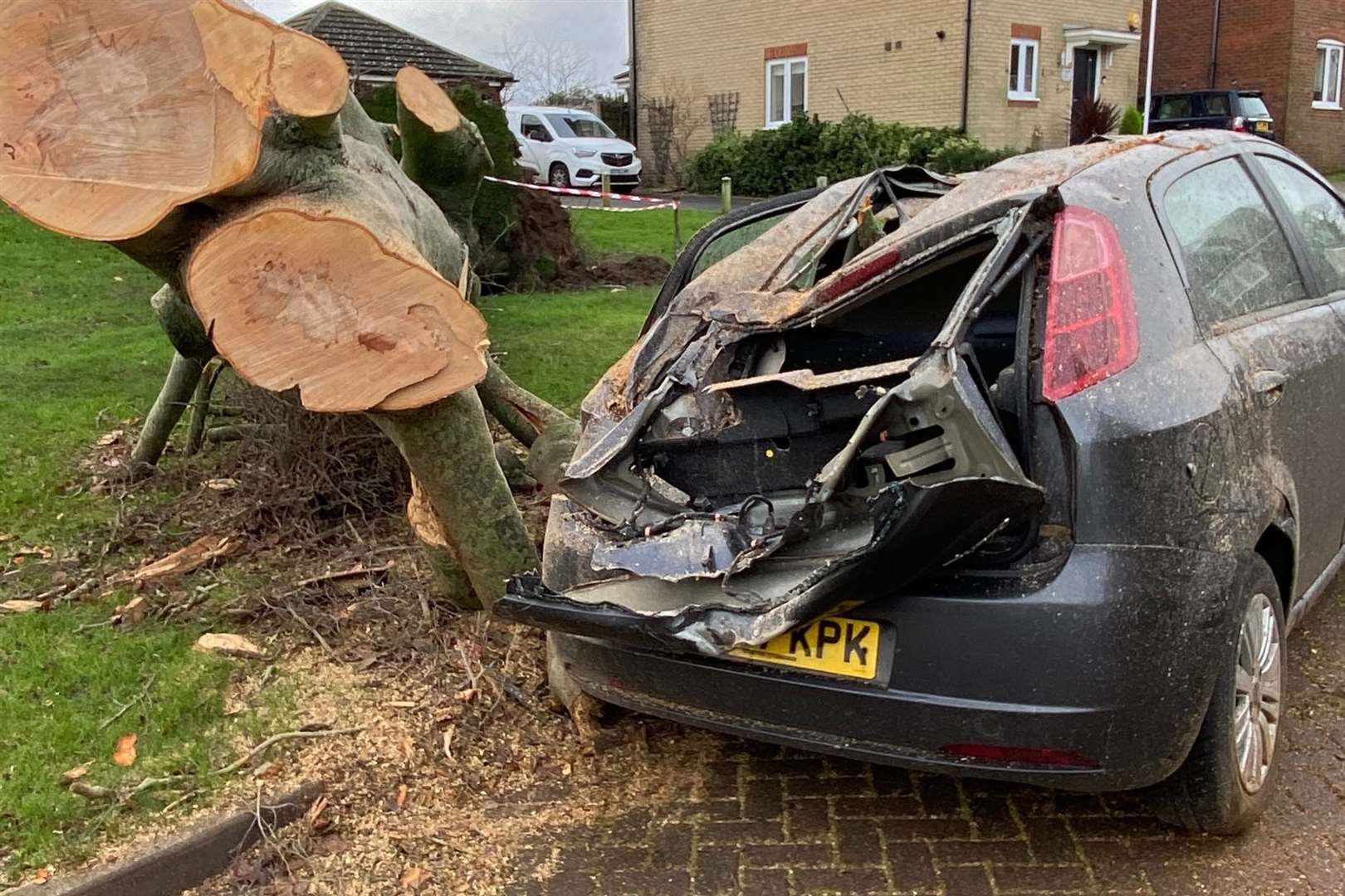 A fallen beech tree flattened a Fiat Punto and damaged a house in Walmer. Photo: Stella Twomey