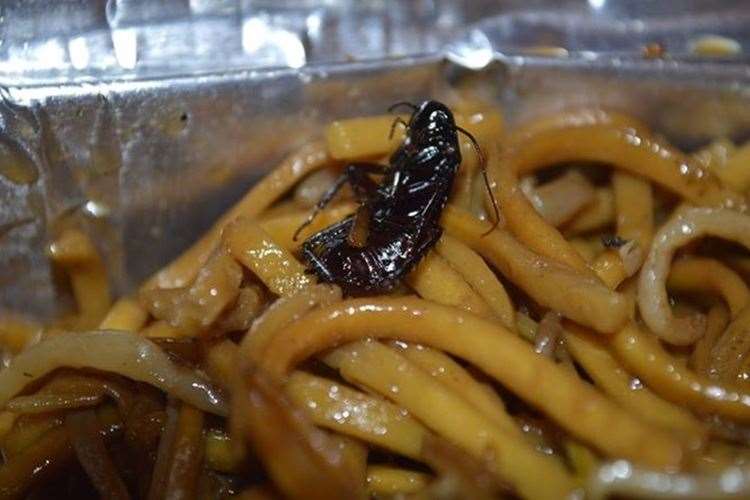 A beetle allegedly found in a container from the Lotus House in Dover. Picture: Jack Stevenson (9896902)