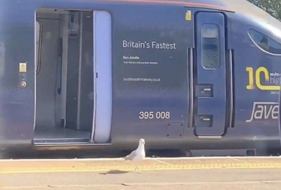 A passenger on a passing train filmed the bird's Southeastern train escapade