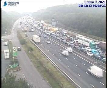 Traffic queues on the M25 after a cow got on to the motorway. Picture: National Highways