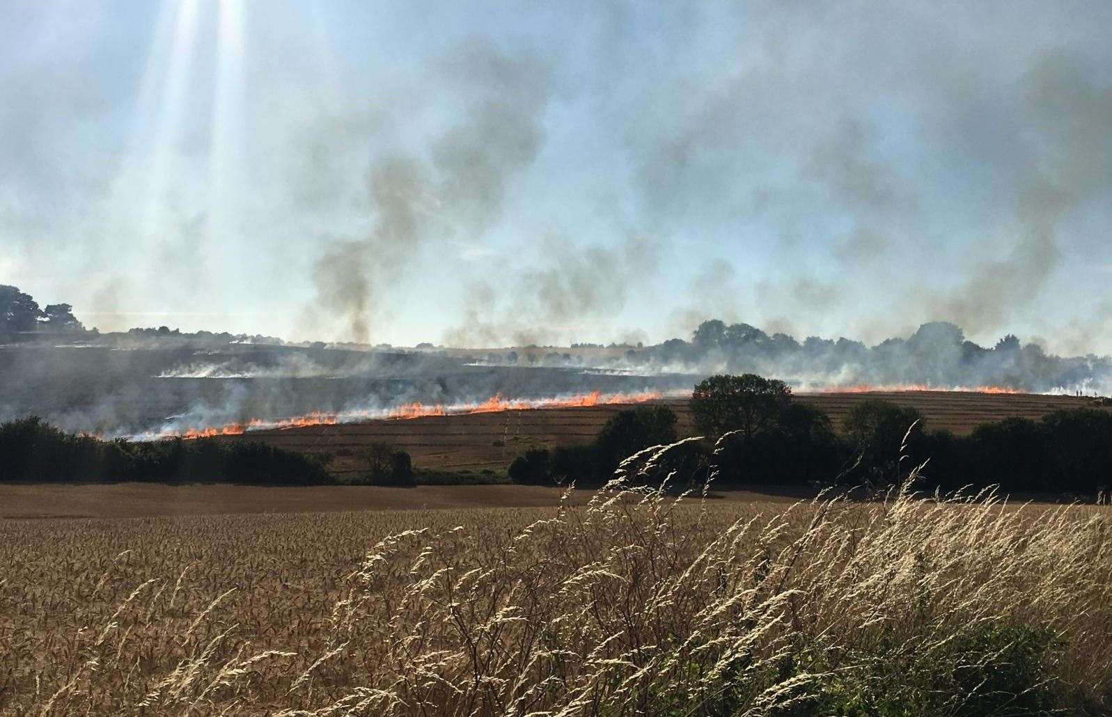 The massive fire is affecting a large area near Longfield Hill
