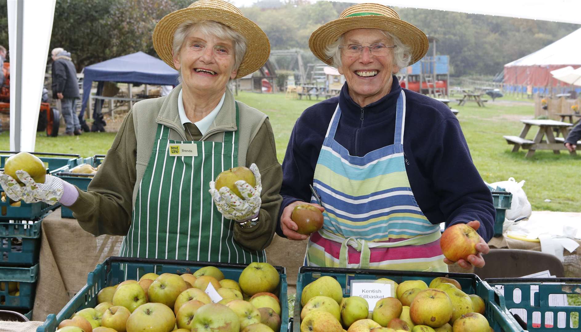 There will be lots of varieties of apples at the Apple and Cider Fayre. Pictured are Brenda Peal & Frances Maddison-Roberts at last year's event