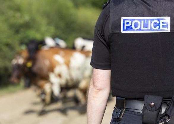 Rural crime is on the rise in Kent. Picture: NFU