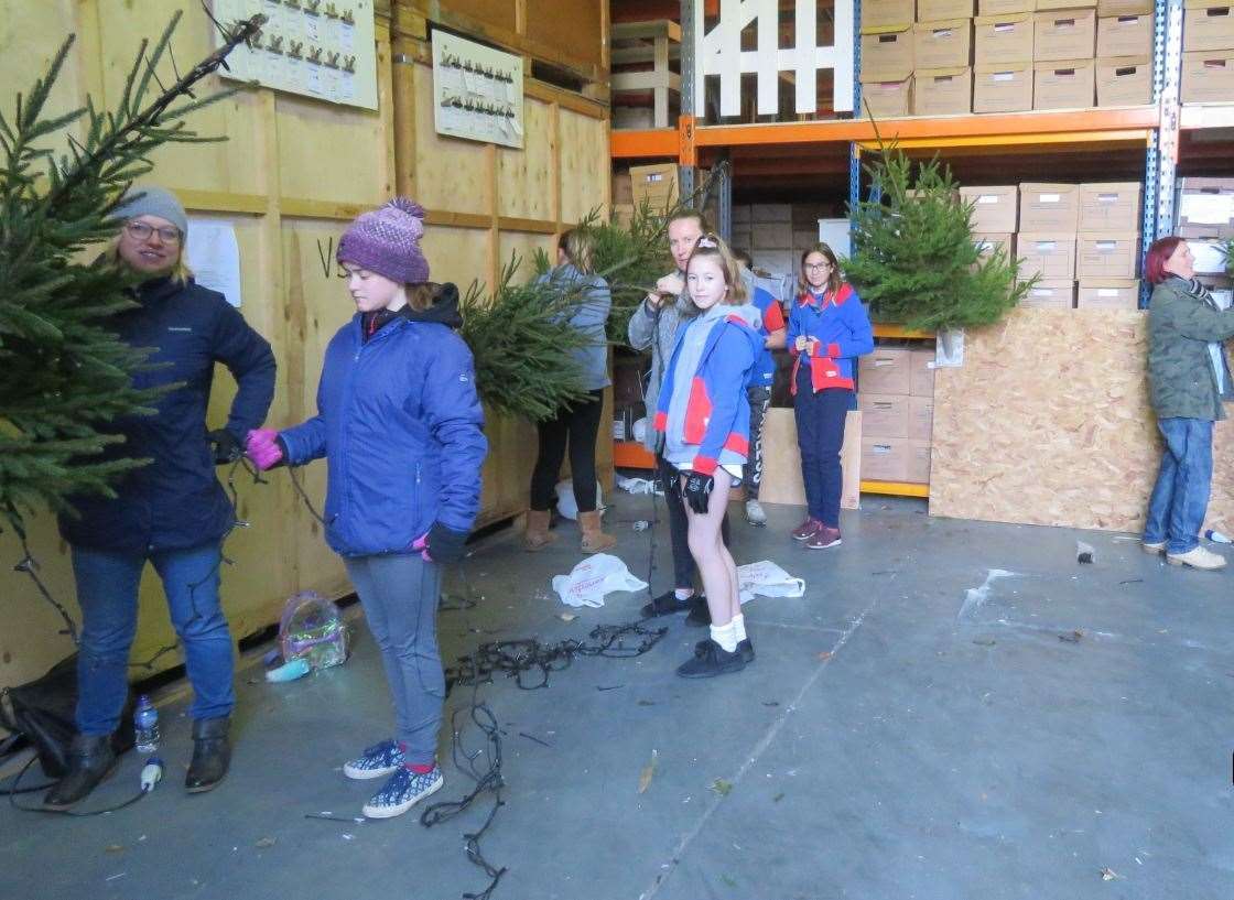 Deal 1st Guides helped dress the trees with lights before they were put up outside shops throughout Deal