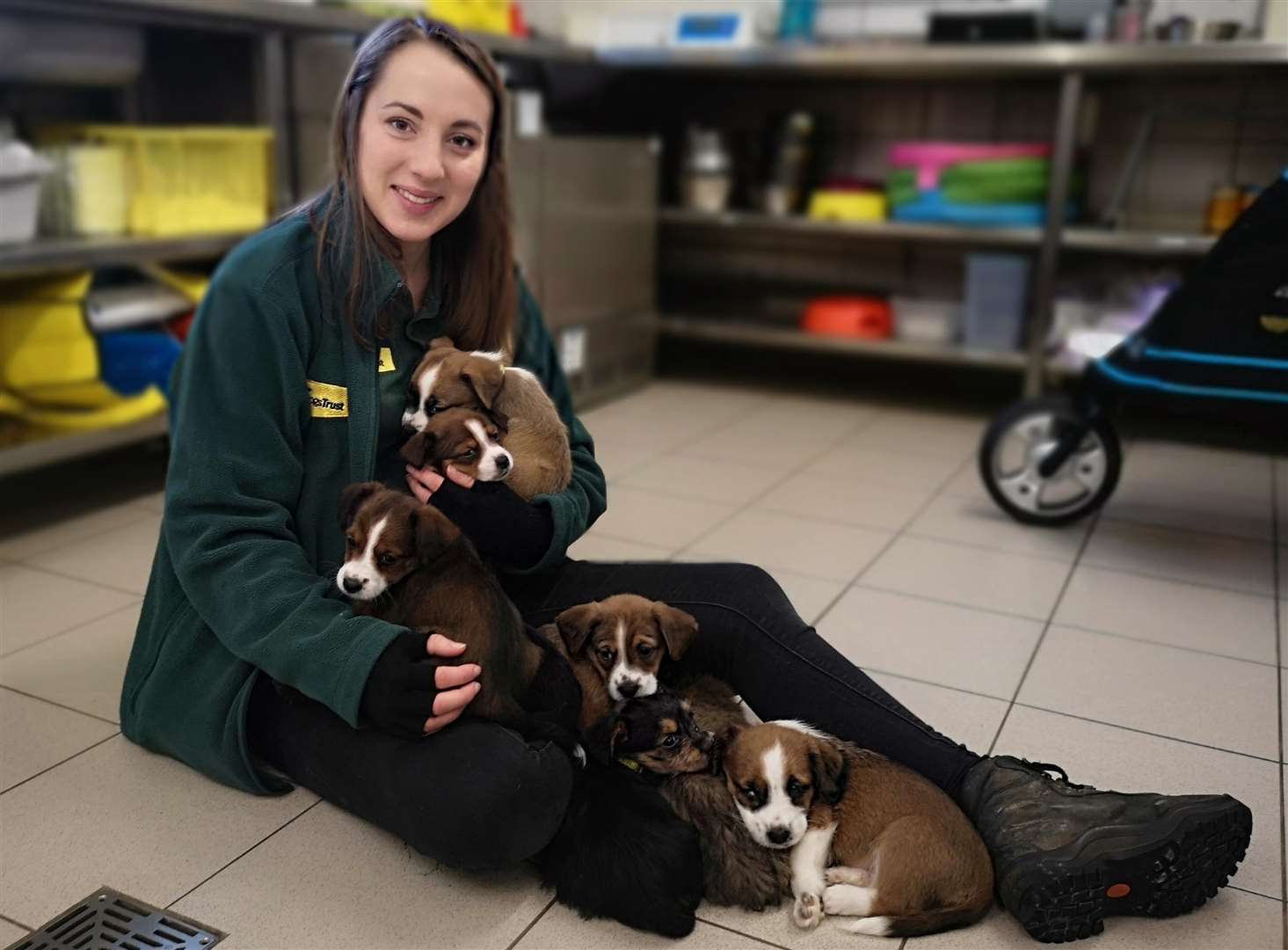 Canine Carer Kelly with the puppies