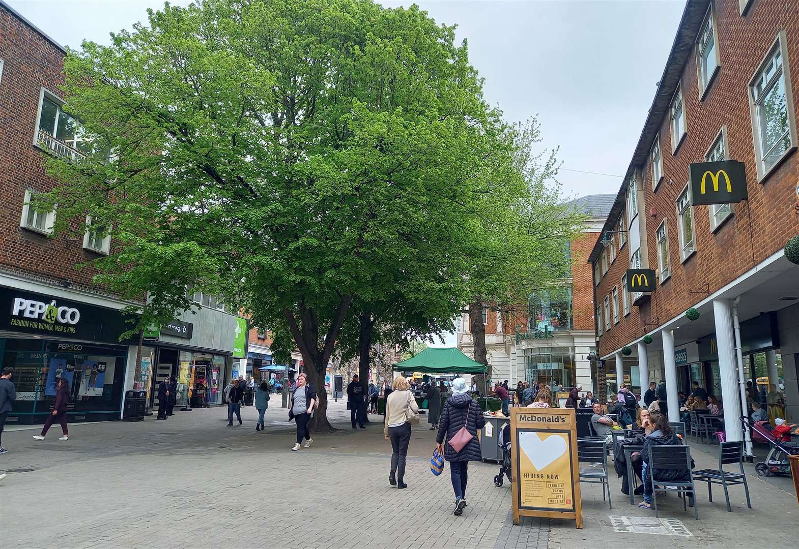 Five trees in the city's high street were set to be chopped down