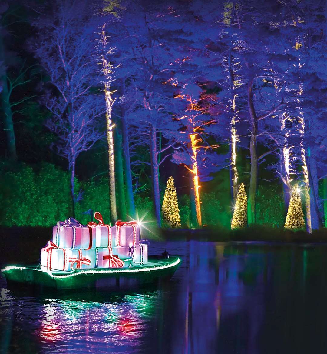 Forest of Festive Lights at Bedgebury