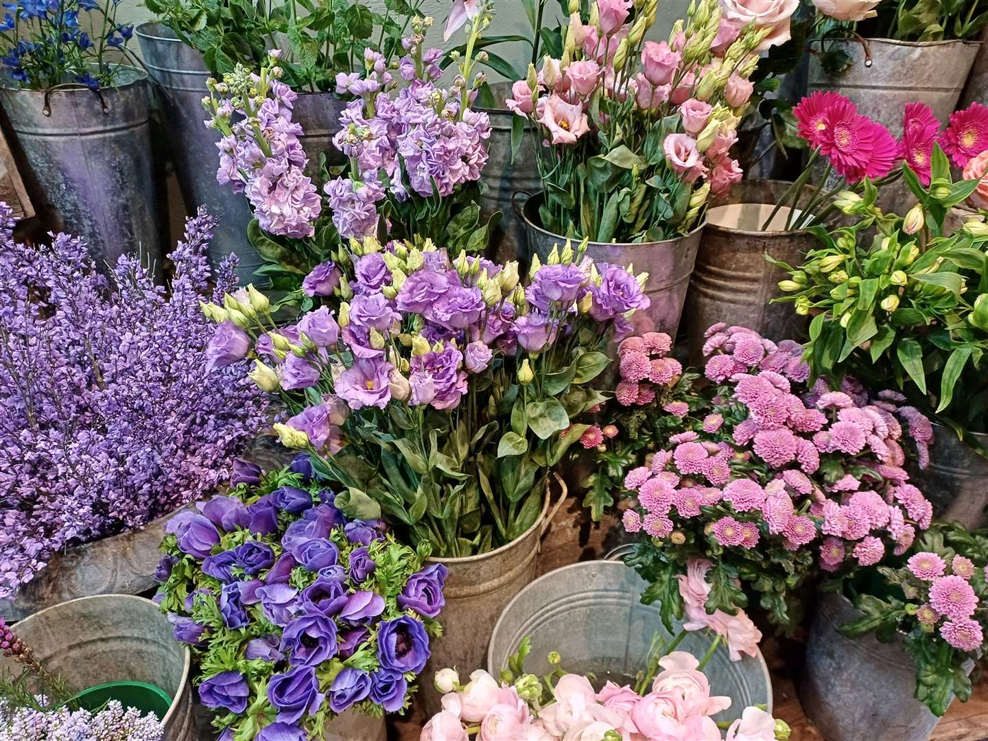A colourful collection of flowers to choose from in the store