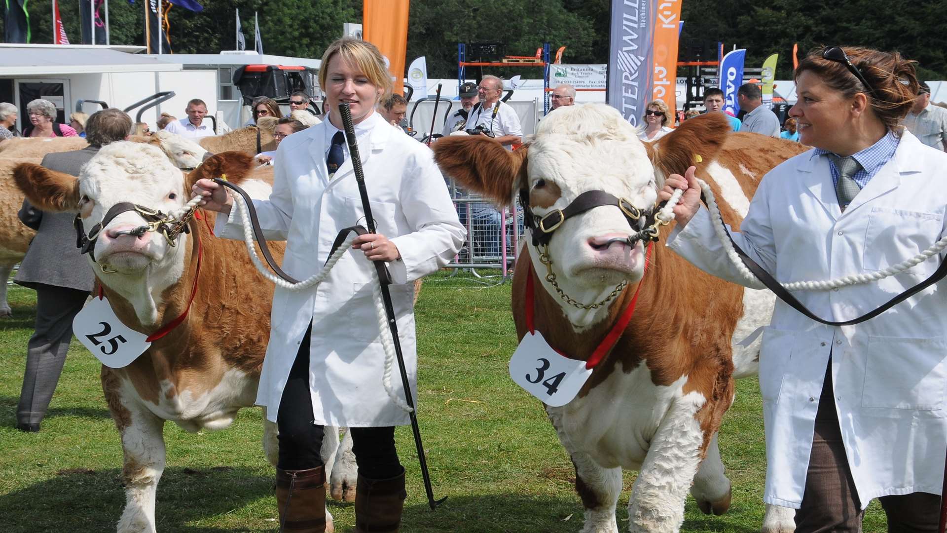 Kent Agricultural Society organise the Kent County Show
