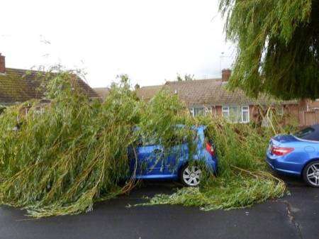 This tree branch fell on Michaela Wood's car in Minster