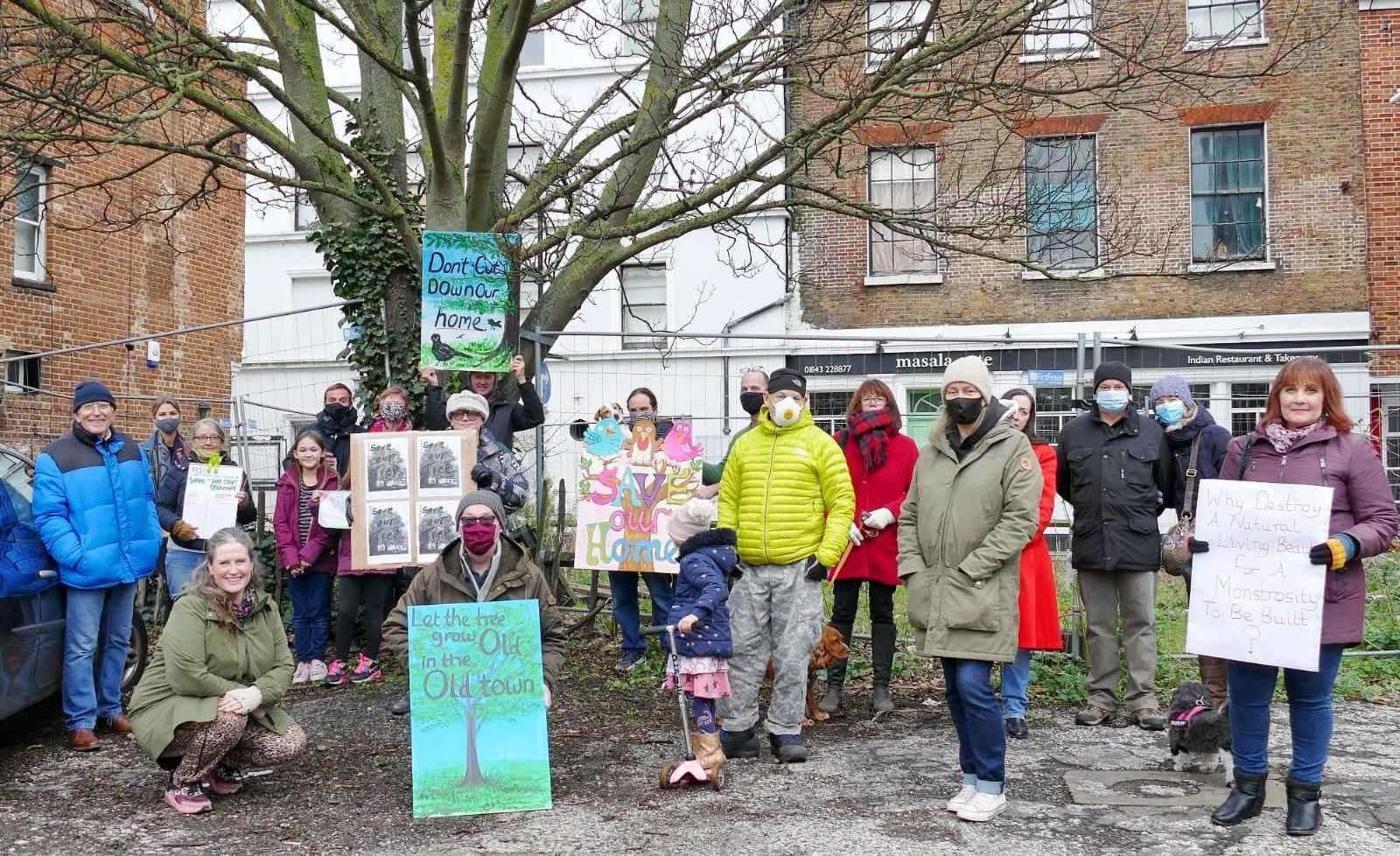 Protesters desperately tried to save the mature tree. Picture: Frank Leppard Photography