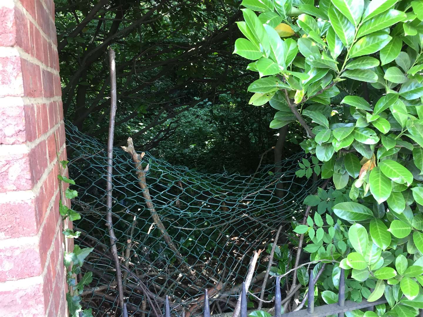 Gaps in fencing allow trespassers to gain entry to Herne Bay Court