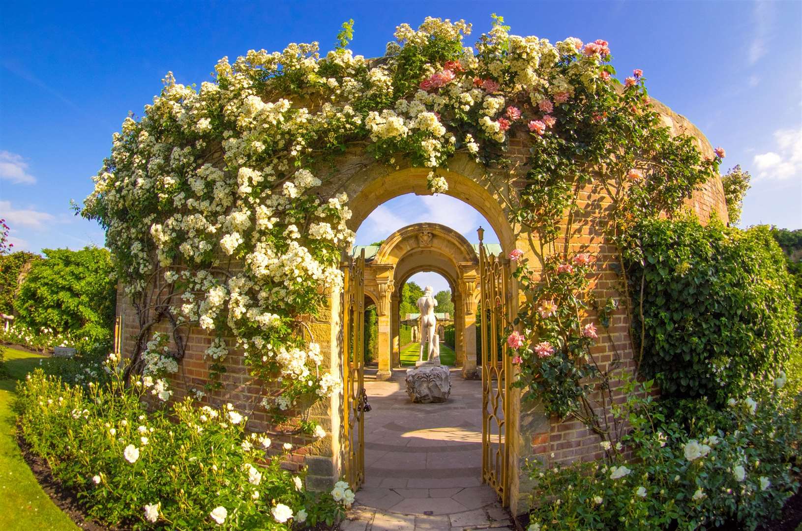 Roses will be on display at this year’s Hever in Bloom. Picture: Hever Caste and Gardens