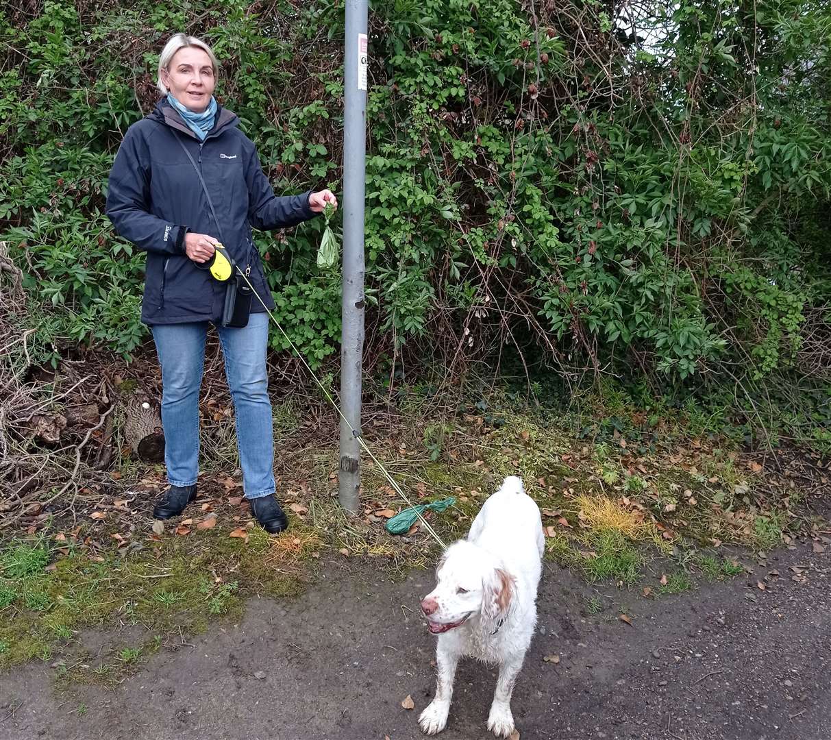 Dog walkers now have nowhere to put their pet waste