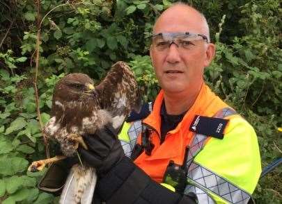 Highways England traffic officers rescued a bird of prey from the side of the M20. Picture: @HighwaysSEAST