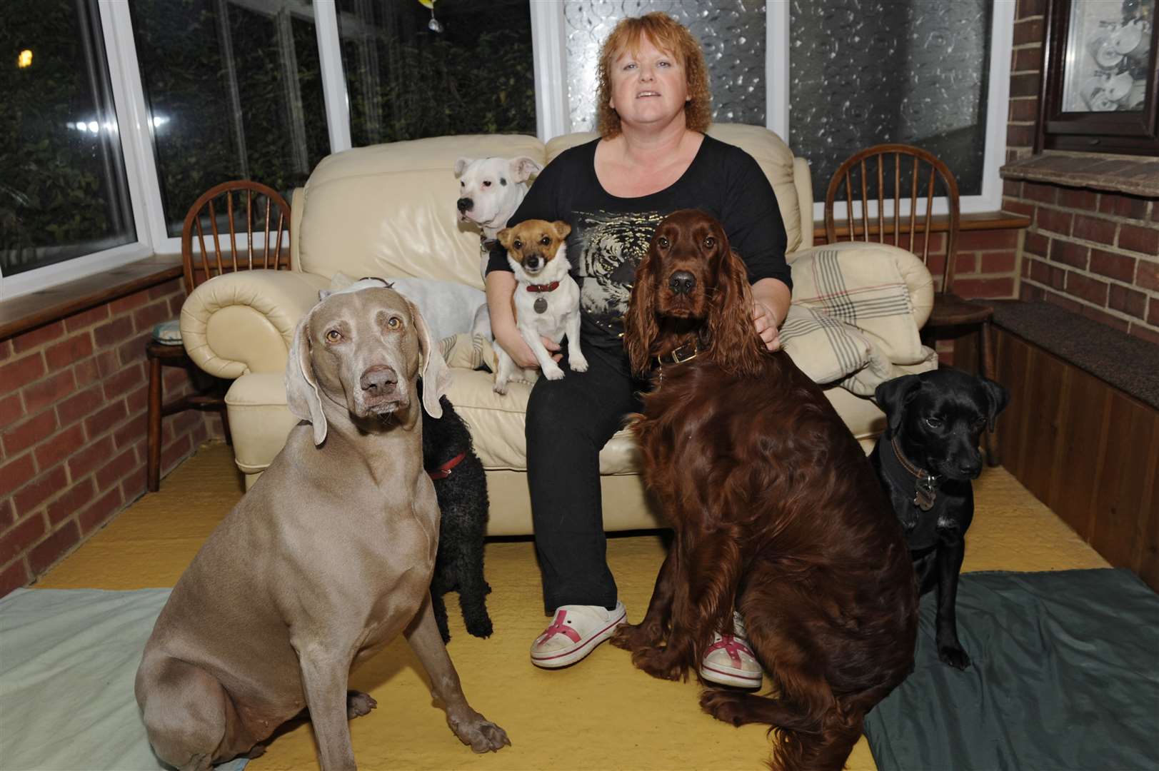 Sharon Russell, owner of dog boarding business in Worth could lose her livelihood if planning refused.