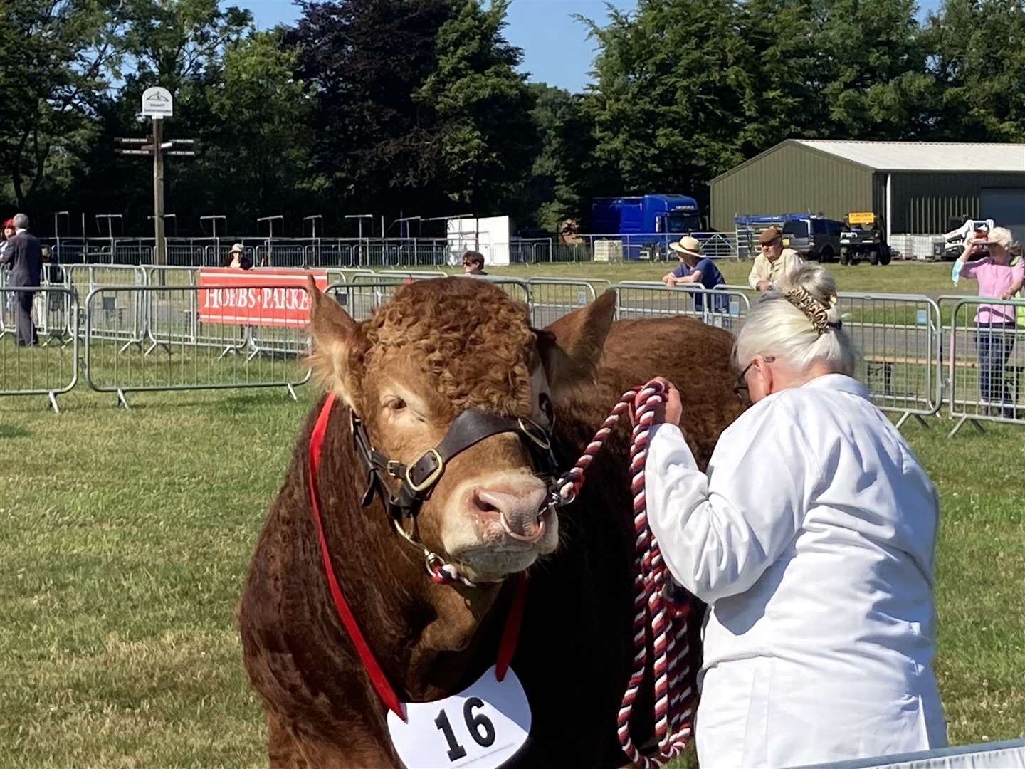 The Kent County Show 2022 is under way