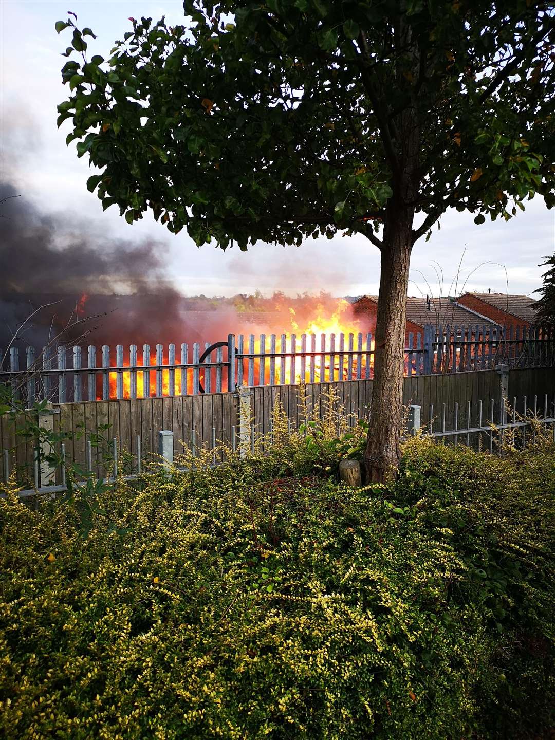 A caravan and sheds were set on fire in a suspected arson attack in Gravesend. (4770220)