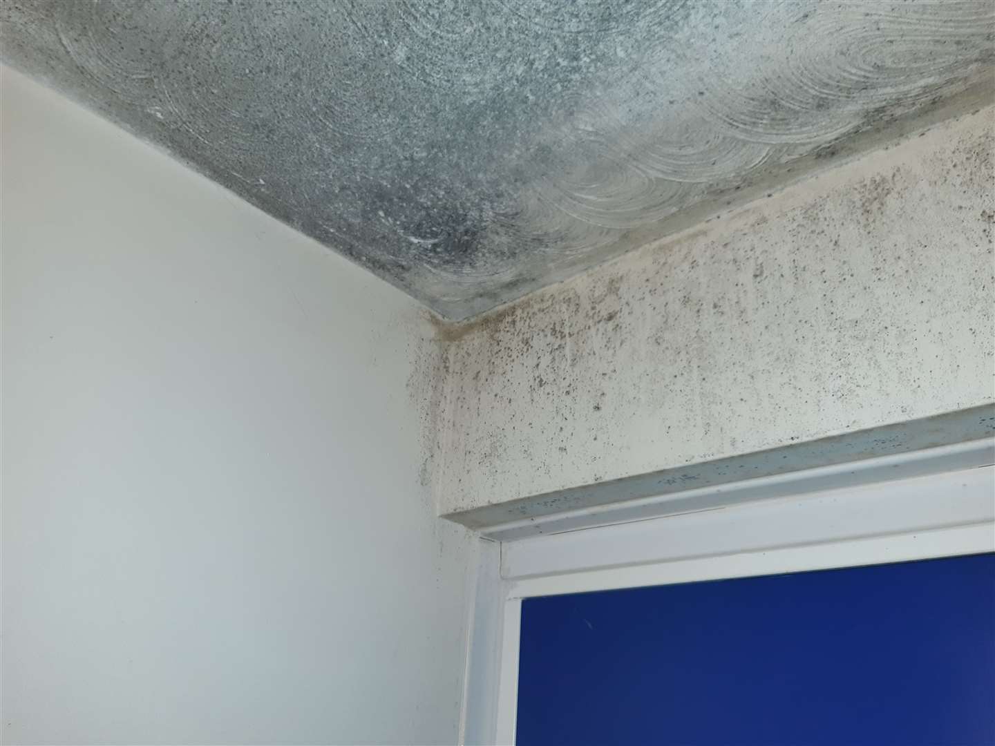 Mould above the front door