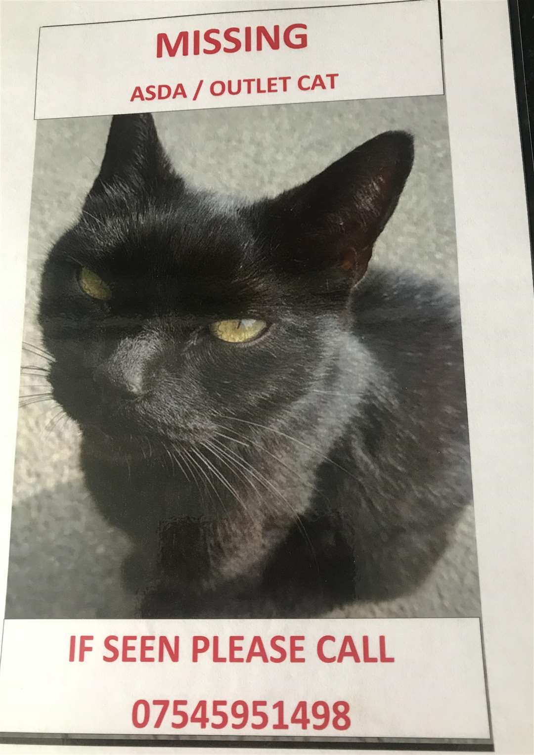 Sammy has been missing for more than a week