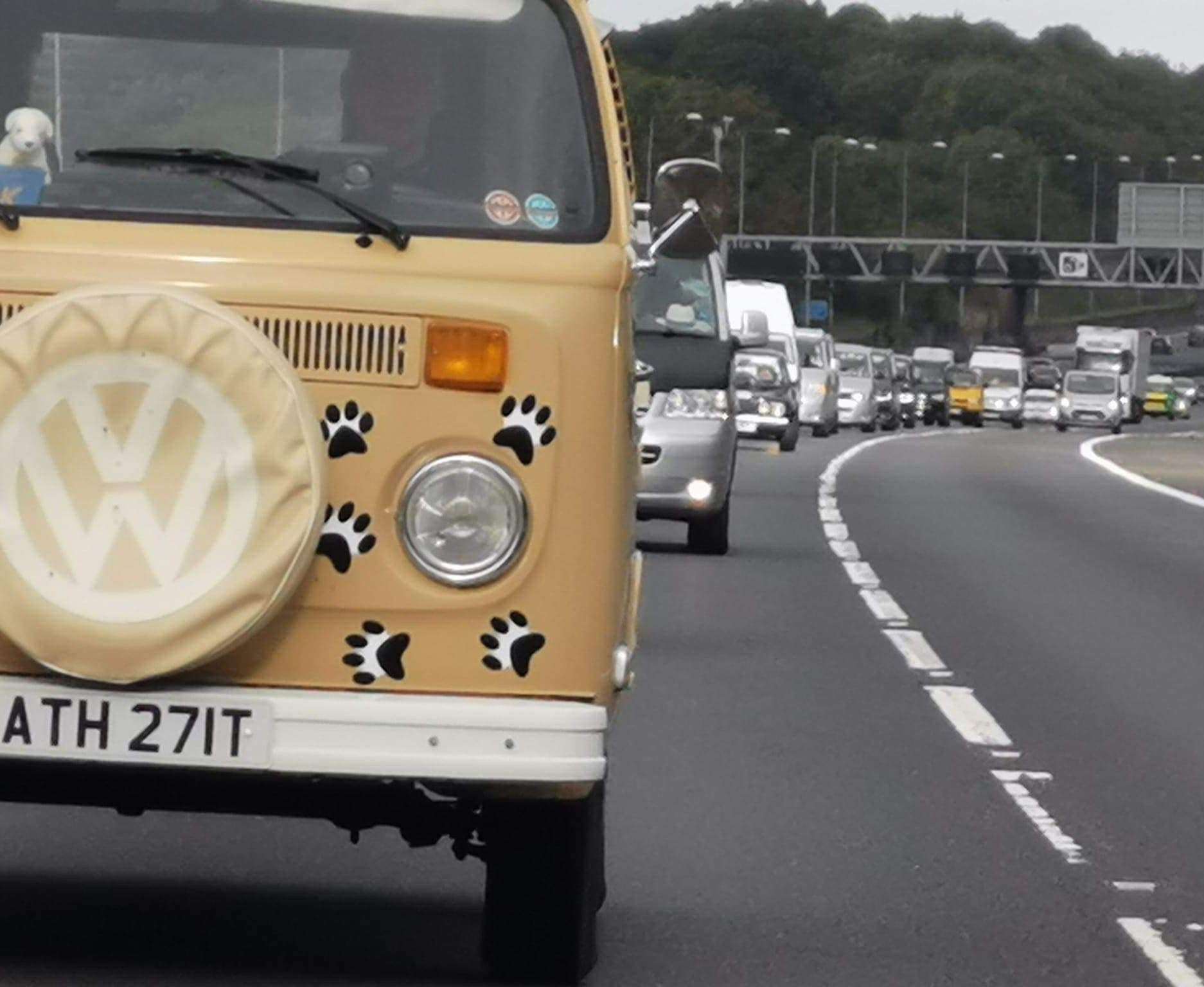Dog-themed VW's joined the event around the M25