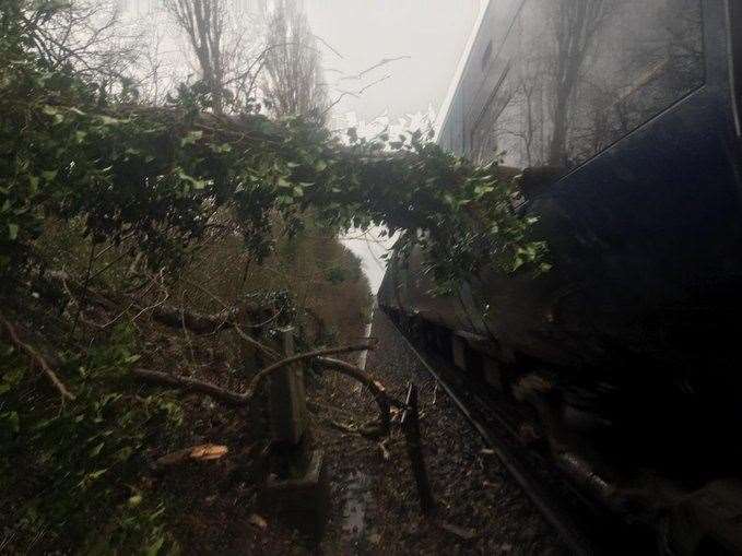 Passengers were delayed after a train hit a tree near Longfield. Picture: Network Rail