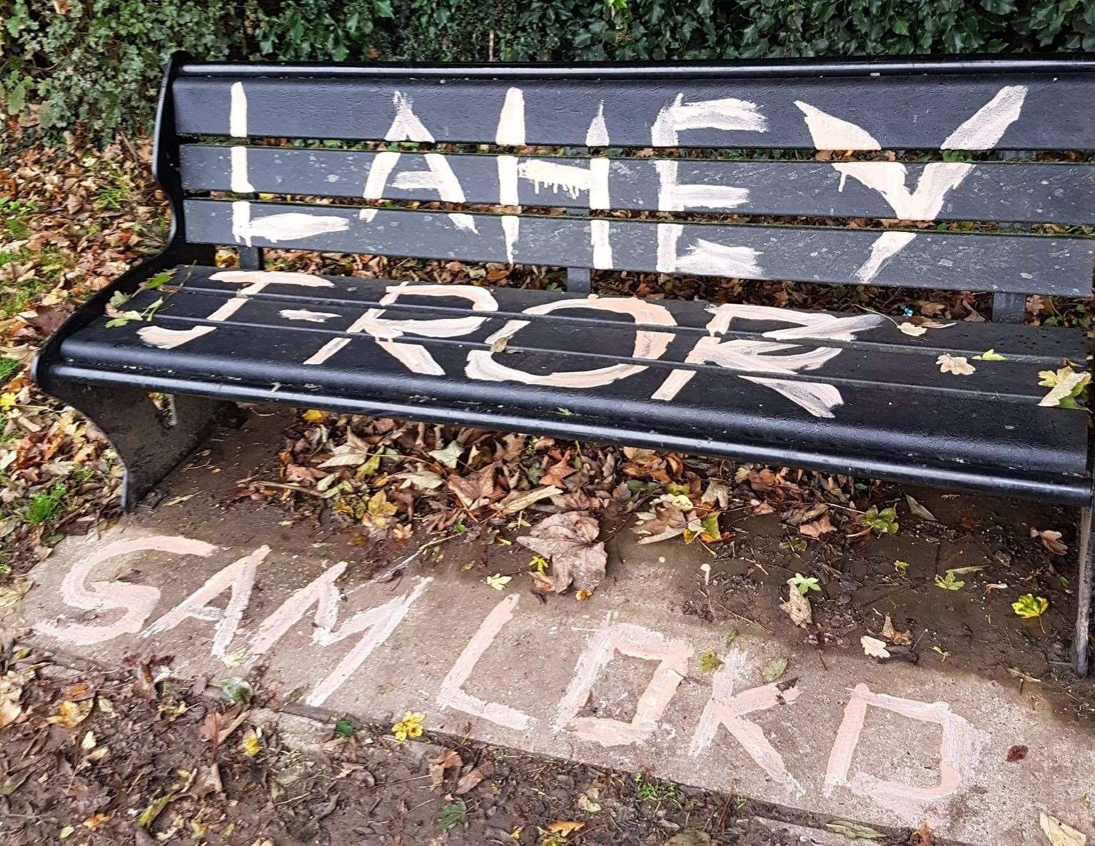Names have been sprayed onto benches in the park. Picture: Sharon Hobley
