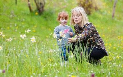 Easter egg hunts are running at National Trust properties