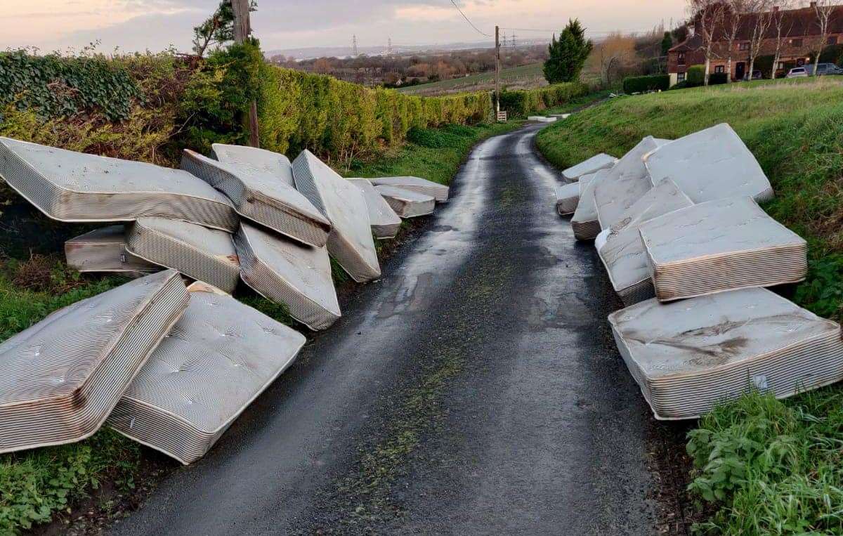 The dumped mattresses along Taylor's Lane, Higham