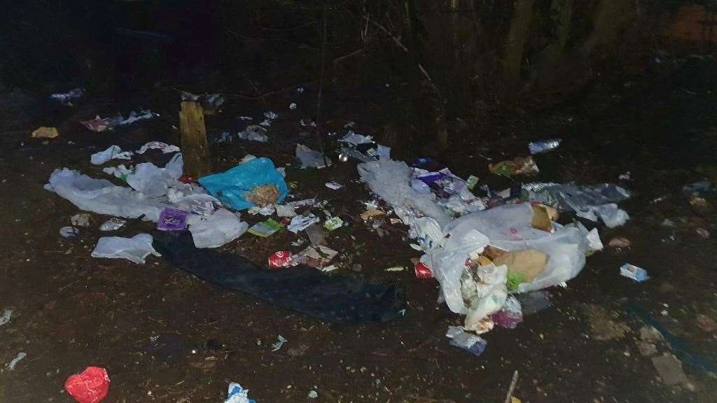 Some of the rubbish dumped in Benson Lane. Photo: FHDC