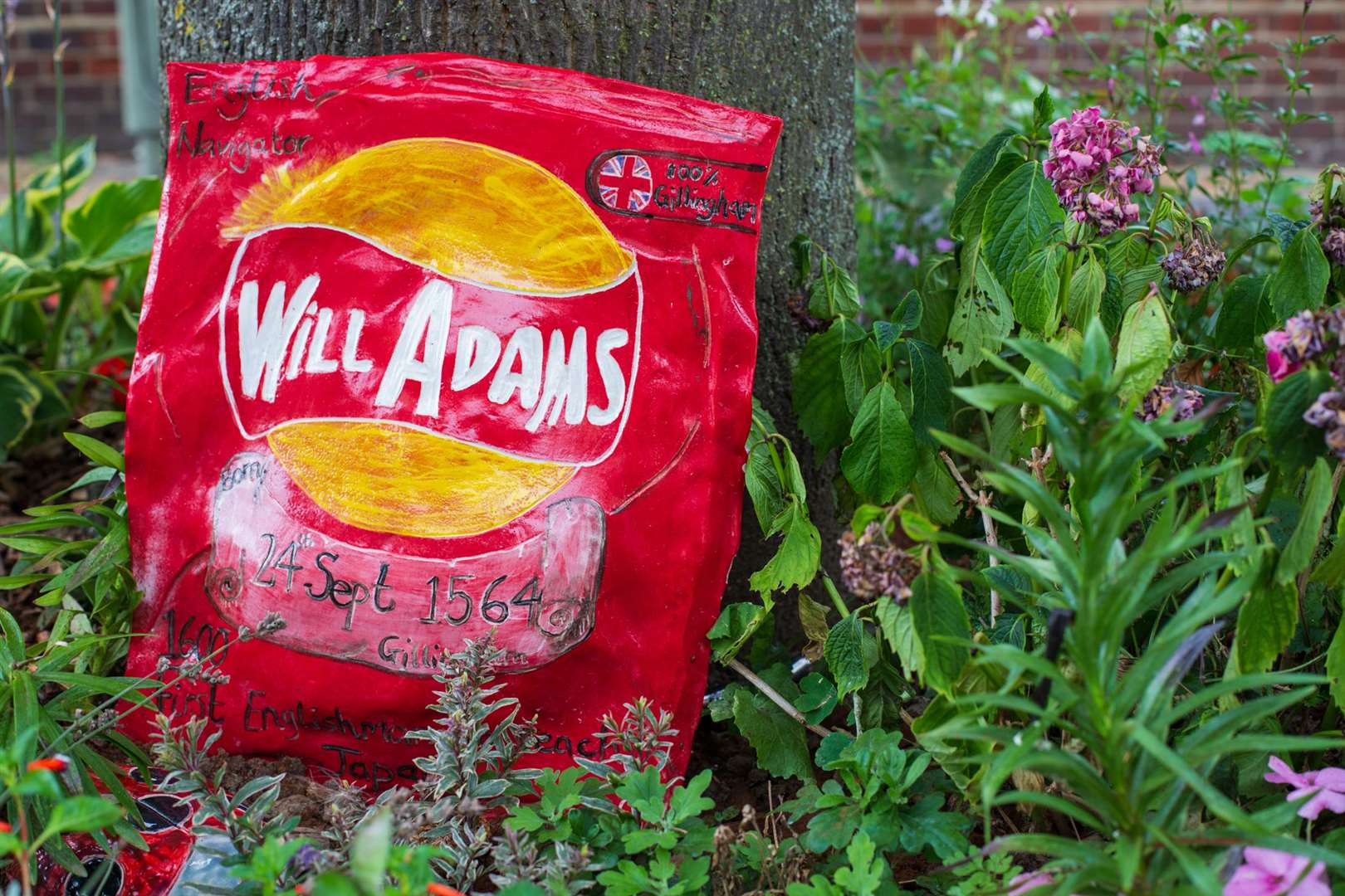 A 'Will Adams' packet of crisps can be found in the High Street Pictures: Nikki Price Photography (51425451)