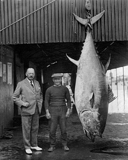 Atlantic bluefin tuna was fished almost to extinction in the 20th century (Mark Mitchell Henry/PA)
