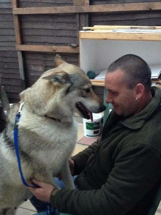 Wayne May shares a tender moment with one of the wolf dogs in his charity's care
