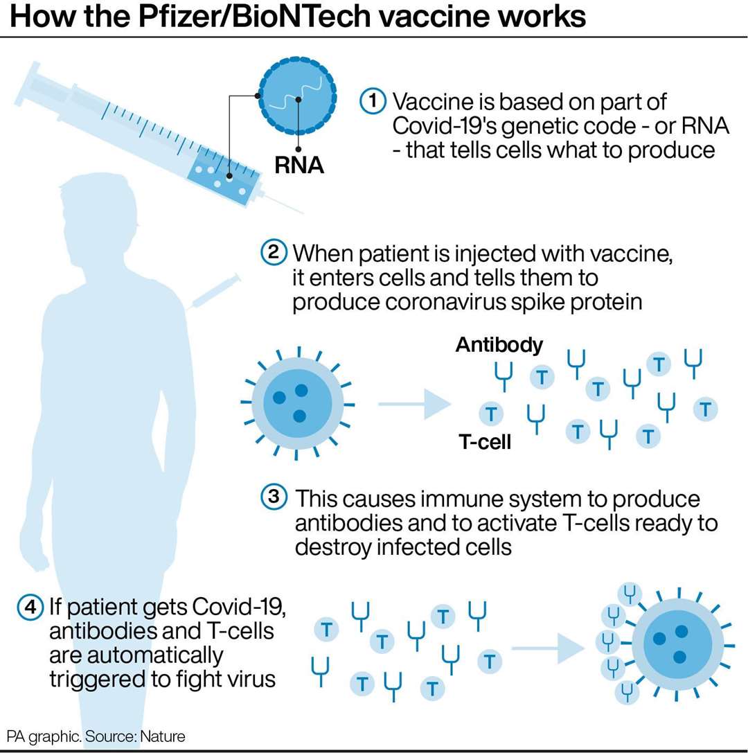 How the Pfizer/BioNTech vaccine works Picture: PA Graphics.