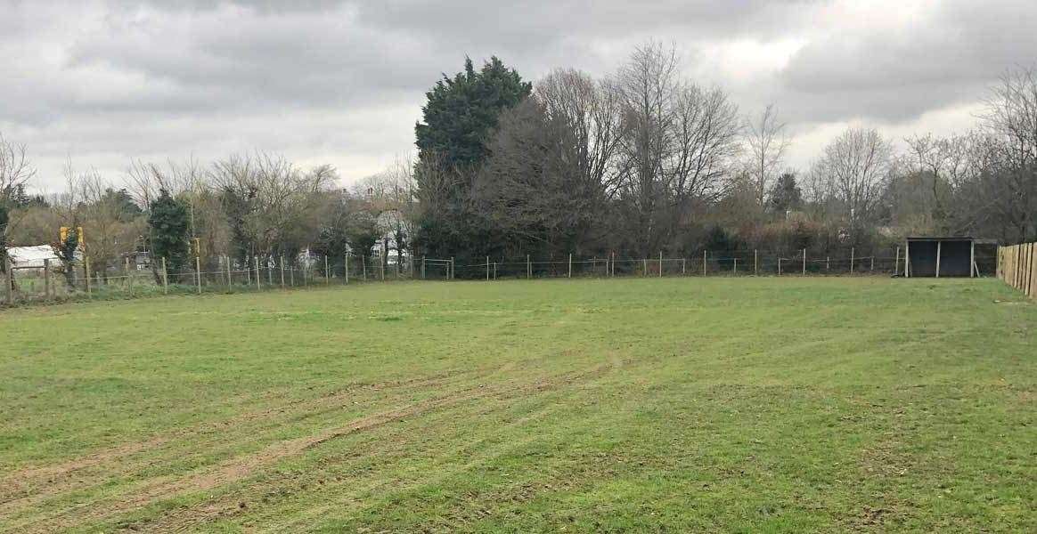 Secured fields at Royal Hounds Dog Park in Sole Street, Gravesend. Photo credit: Maxine Hughes