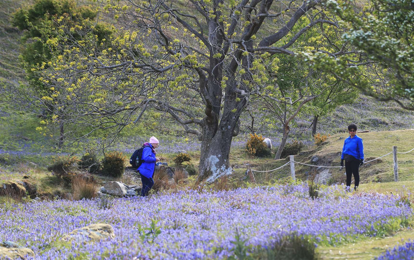 Walkers take a stroll at Rannerdale Knotts in the Lake District (Owen Humphreys/PA)